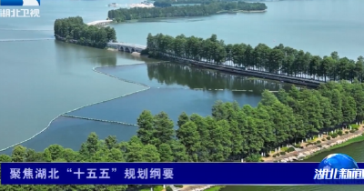 长江解读 | 聚焦湖北“十五五”规划纲要：厚植民生福祉 擦亮生态底色