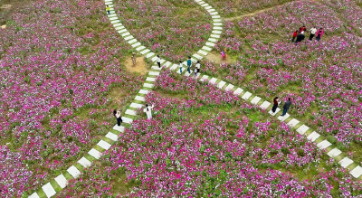 满城芳华·蝶变进行时丨潜江：花开满巷 同心润城