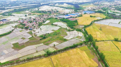 汉川南河乡：126条渠沟焕新颜 绘就渠畅水清新画卷