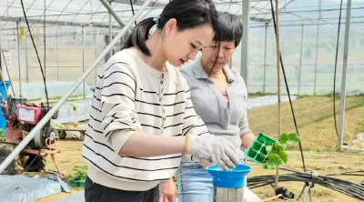 “我们赶上了好时候，也要扛起沉甸甸的担子”，总书记的回信激励武汉青年在新征程上贡献青春力量