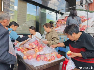 不到一天，8000斤苹果全部卖光！