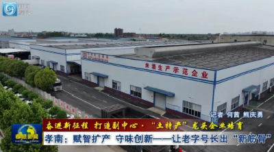 龙头掷出10亿，孝感这个产业要“搞大事”