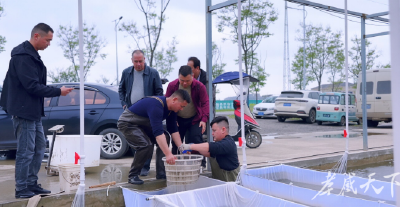 汉川：闲置地“鱼跃”致富塘 小鱼苗“游”出振兴路
