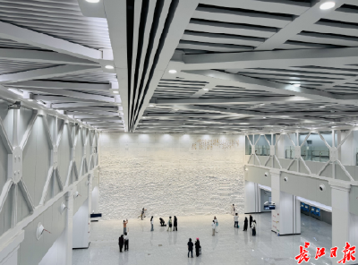 12号线这面墙为什么这么火，听听设计者怎么说