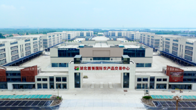 50万吨冷链集群成型！孝南打造华中生鲜物流枢纽