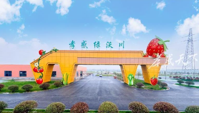 乡村旅游打卡地+1！孝感这个智慧农业工厂7月试运营