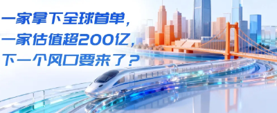 一家拿下全球首单，一家估值超200亿，下一个风口要来了？