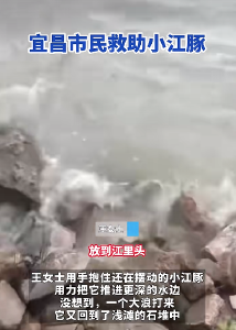 宜昌人到底有多“固执”?