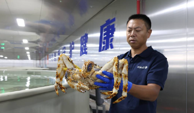 两个90后改写生鲜定价权——花湖国际机场海葵海鲜牧场投产侧记