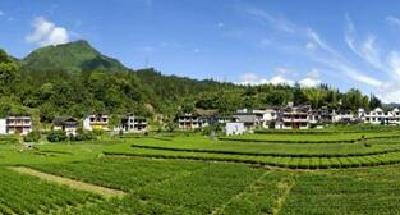 嘉鱼农商行陆溪支行支持农产品业加工助脱贫