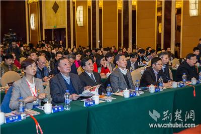 第九届中部创投大会召开 湖北政府引导基金规模超650亿