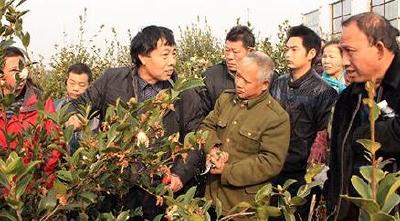 嘉鱼举办油茶种植实用技术现场培训班