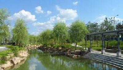 嘉鱼加快推进沿江岸线生态修复
