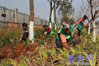 嘉鱼启动城区绿化补栽工作