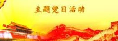 舒桥村开展2017年第3期“主题党日+”活动