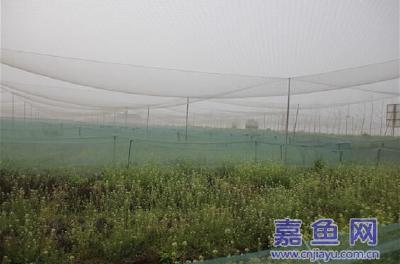 互得互利办养殖　为乡为民助扶贫