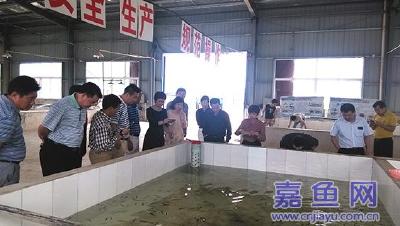 广西合浦县水产考察团来我县考察水产养殖