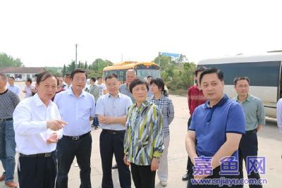 全市长江非法码头、非法采砂整治工作会在嘉召开