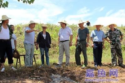县委书记余珂检查神洲围堤防汛抢险工作