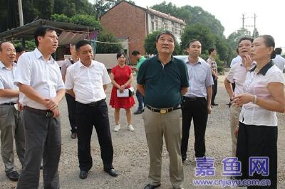 省第十一督查组来嘉调研督查