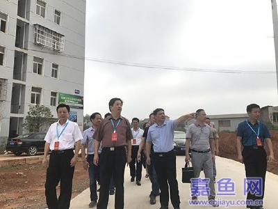 县人大调研视察房地产市场管理工作