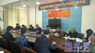 鱼岳镇组织干部职工收看十九大开幕式
