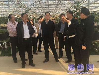 刘新池来嘉调研林业工作