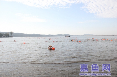 嘉鱼县冬泳协会举行成立十周年冬泳活动