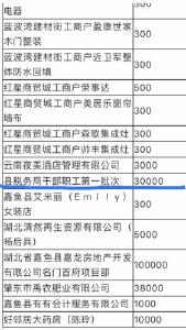 嘉鱼县税务局干部职工积极参与疫情募捐