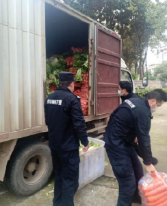 福建、云南爱心蔬菜抵嘉
