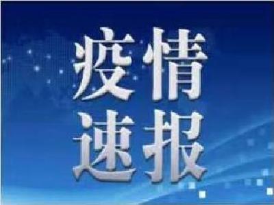23日 嘉鱼新增病例0例，累计出院79例