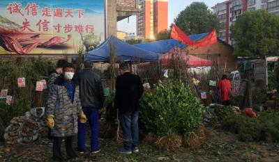 花卉苗木市场开市，果树苗木成了“抢手货”