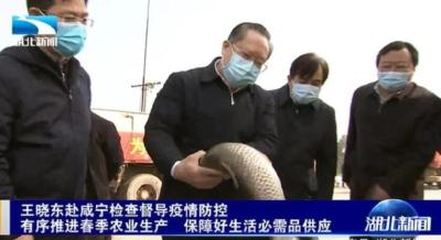 王晓东赴咸宁检查督导疫情防控：有序推进春季农业生产，保障好生活必需品供应