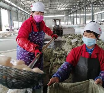 【复工复产】嘉鱼：助力贫困户复工就业