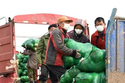 嘉鱼：保障市民“菜蓝子”