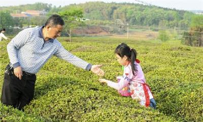 嘉鱼:春茶开园茶农乐 