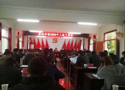 簰洲湾镇：召开2020年三级干部会议