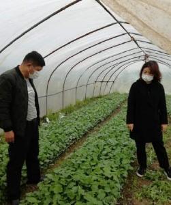 【复工复产】渡普镇：有序推进春耕备耕