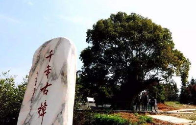 嘉鱼高铁岭镇等获评全市十强