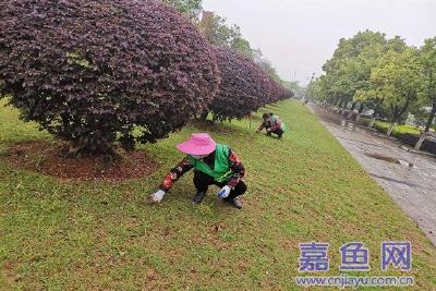 嘉鱼园林为城市“提质增彩”