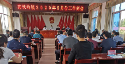高铁岭镇召开2020年5月份工作例会
