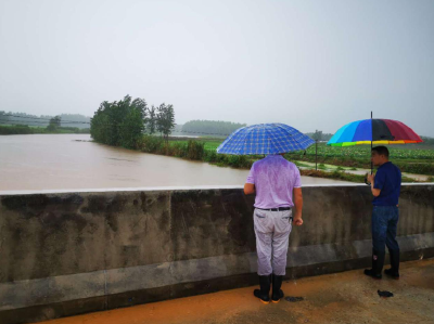 陆溪镇积极应对强降雨天气