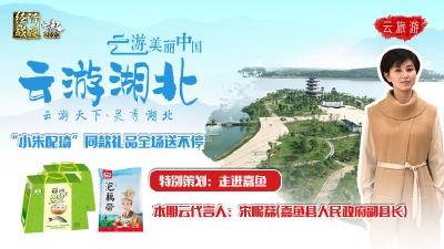 《云游美丽中国》助力湖北复工复产，多地发来感谢信 