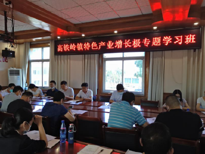 【“六大”活动】高铁岭镇积极开展“六大”活动学习班