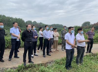 【“六大”活动】胡春雷王永调研文化旅游教育卫生重点项目建设