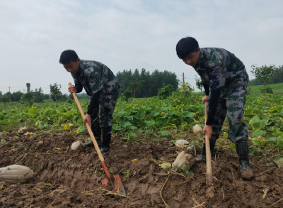 【防汛红榜】潘家湾镇高考生：才下考场就上江堤