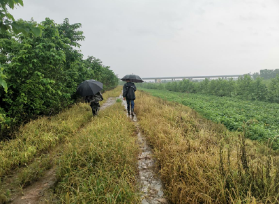 潘家湾镇：加强防汛巡查 确保群众生命安全