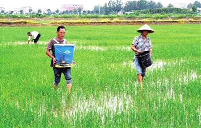 科技助力恢复生产 