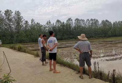 高铁岭镇：“翻秋”补种进行生产自救