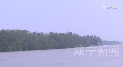 “90”“00”后用青春筑牢嘉鱼护城之堤